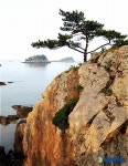 <송기자 여행사진> 증도는 천혜의 자연환경을 갖춘 섬