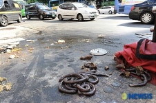 디자인거리 위한 강남대로 노점상 강제 철거
