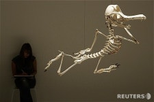 이형구 전시회 아니마투스