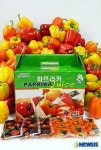 진천 에덴농장 파프리카