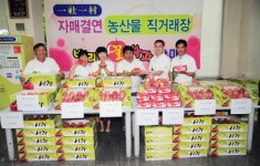 신선한 사과 드세요