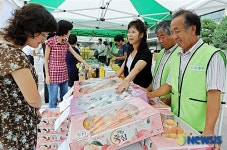 싱싱한 과일 맛보세요