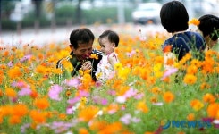 사랑이 솔~솔