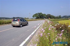 아름다운 고향길