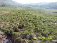 람사르 협약 1호 습지 대암산 용늪