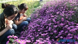 이렇게 예쁠 수가