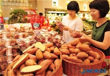 맛 좋은 햇 호박 고구마 출시