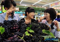 산머루 너무 맛있어요