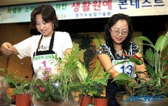 생활원예 콘테스트