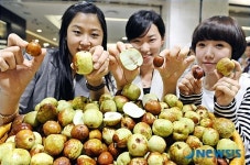 왕대추 맛보세요