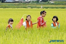 메뚜기야 어디 있니