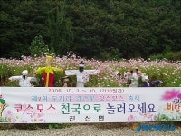 깊어가는 가을 코스모스축제 오세요