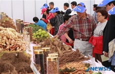 제천에 집결한 전국 우수 한약재
