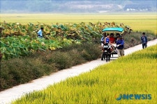 주남저수지에 찾아 온 가을