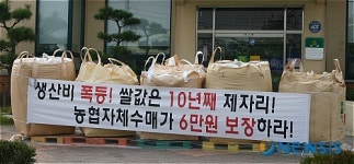 쌀값 투쟁 첫 벼 야적 시위 돌입