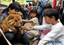 이렇게 예쁜 강아지를