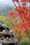 청운공원의 가을 풍경