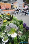 음악회가 함께하는 인삼, 약초축제