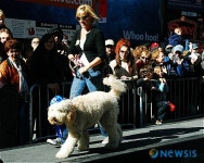 <뉴욕스케치>타임스퀘어에서 열린 애견 쇼