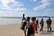 우전해수욕장 해변을 걷는 철새전문가들