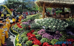 도심속 국화공원