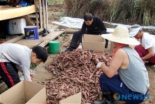 안산우체국 집배원들이 몰래 전한 사랑