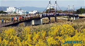 생명의 땅 순천만