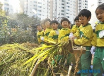 서울 서대문구, 어린이집 아이들 벼베기 체험학습