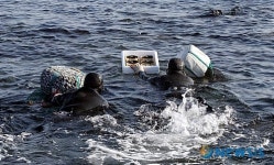 홍해삼 종묘 마을공동어장에 방류