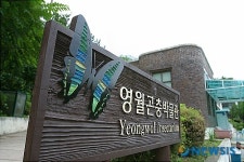 한국관광공사 추천 오감을 즐기는 가을여행-영월곤충박물관