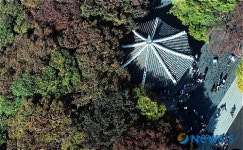 즐거운 주말, 남산 단풍 구경온 시민들