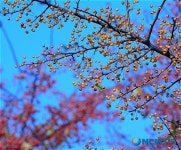노을공원