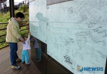 영덕 창포 해맞이 공원 대게(낙서)등대 인기 최고