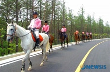 경북 영천시 종합휴양 승마레포츠 타운 육성