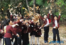 재미있는 낙엽 날리기