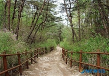 충주 계립령로(鷄立嶺路) 하늘재 명승 지정 예고