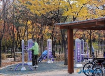 단풍 아래서 운동이 더 잘 돼
