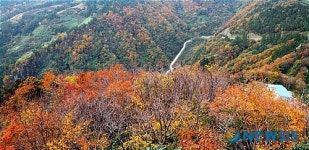 <송기자 여행사진> 내수전 전망대에서 바라본 가을 단풍