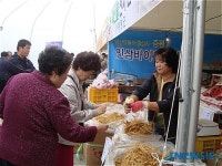인기몰이 증평인삼