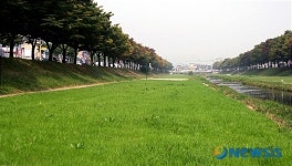 안산시, 도심 유휴지 경관작물 축산농가 사료로 공급