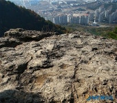 대거 발견된 경남 창원 대암산 공룡발자국 화석