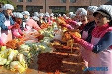 김치 한포기! 사랑 한포기!