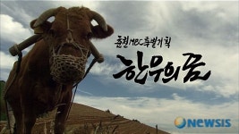 춘천MBC, 24일 한우의 꿈 특집방송