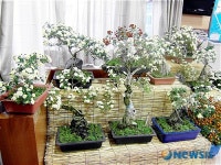 국화 향기 가득한 안동 평화동사무소