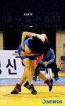레슬링 여자 고등부