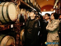 달콤한 머루향 풍기는 창고에서