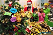 맛도 영양도 좋은 제주산 골드키위 출하