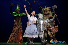 도로시와 친구들