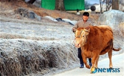<희망을 연다>희망찬 2009년을 향하여