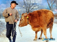 <희망을 연다>농민의 근심 사라지는 2009년이 되길...